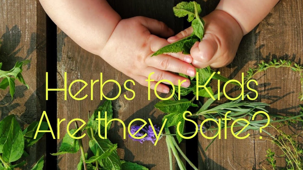 What are the best HERBS FOR KIDS? YouTube