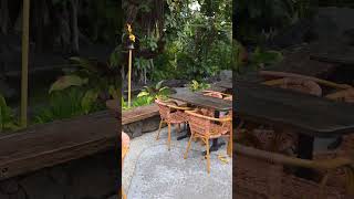The Mai Kai Main Entrance & New Bora Bora Bar
The Mai Kai Main Entrance & New Bora Bora Bar
#maikai
#tiki
#tikibar The Mai Kai Main Entrance & New Bora Bora Bar