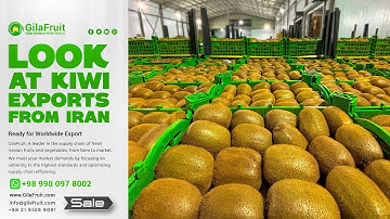 look at kiwi exports from Iran
