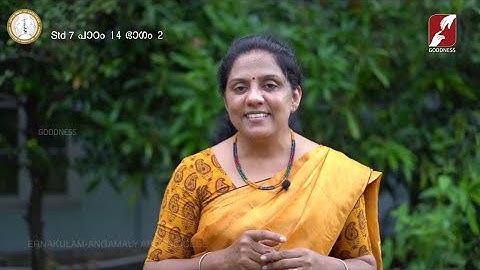 DOMUS CAT | STD 7 & 8 | CHAPTER 14 | PART 2 | SUNDAY CATECHISM