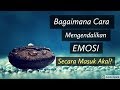 Motivasi Hidup Sukses - CARA MEREDAM EMOSI YANG PALING MASUK AKAL!