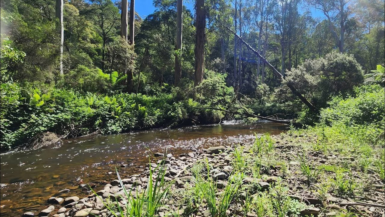 Рыбалка на форель в высокогорных районах с Yabby Catch and Cook.
