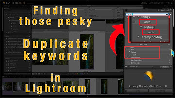 ‼️ A new way to find Duplicate Keywords in Lightroom ‼️