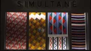 Sonia Delaunay - Stand Simultané