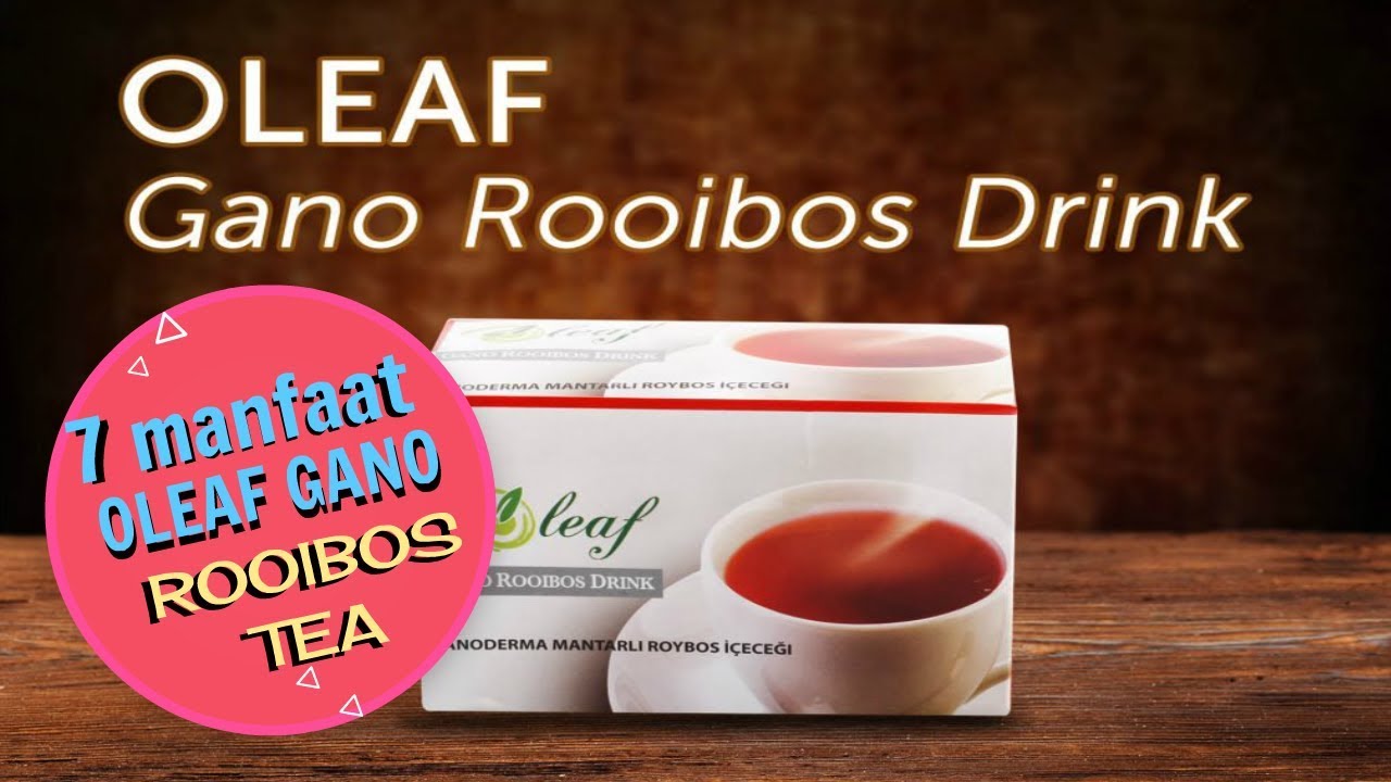 Oleaf Gano Rooibos Tea (7 Manfaat Teh Rooibos) YouTube