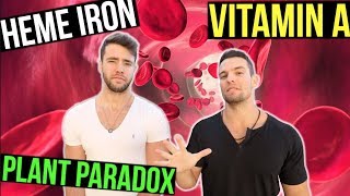 5 Facts used to Debunk a Vegan Diet | Anti-nutrients, Vitamin A, Heme Iron, Cholesterol