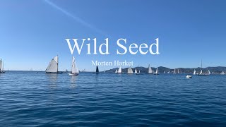 Morten Harket-Wild Seed (lyrics)