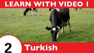 ⁣Learn Turkish with Video - Learning Turkish Vocabulary for Farm Animals Has Never Been More Fun!