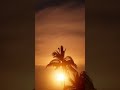 This will calm your mind instantly 🌊 #relaxation #sleep #ambience #oceansounds #sunset #calm