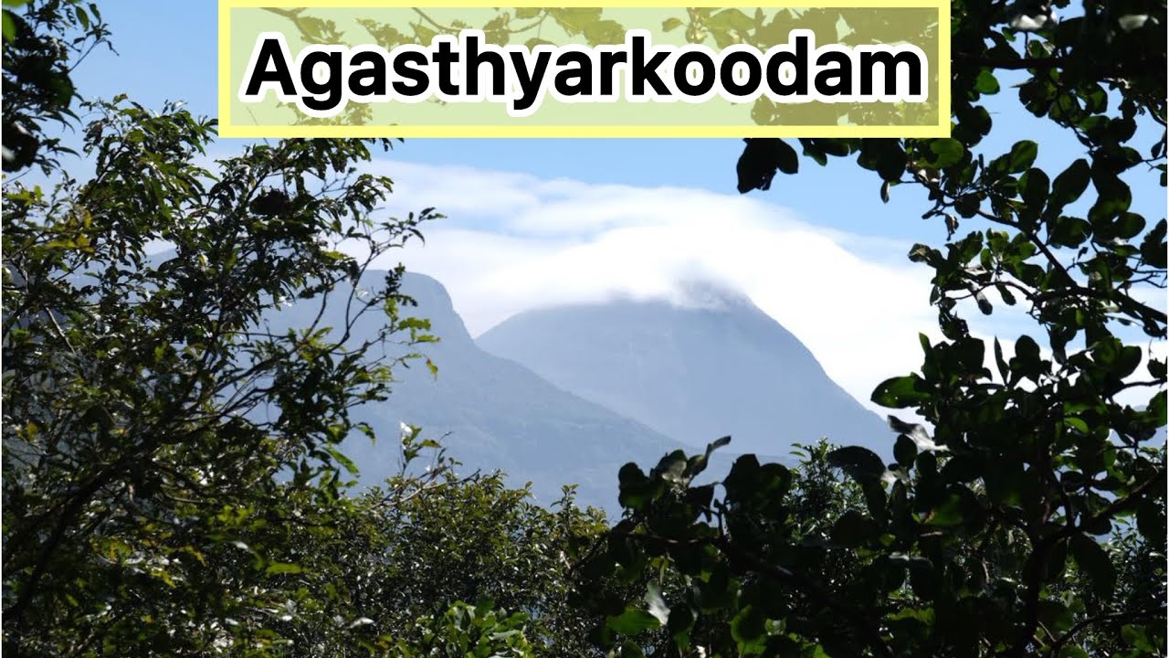 അങ്ങനെ അഗസ്ത്യാർകൂടം എന്ന സ്വപ്നം യാഥാർഥ്യമായി guys| Journey towards Agastyarkoodam |4K