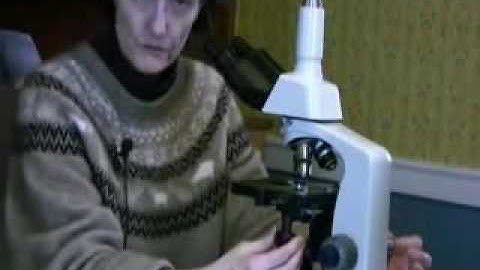 CHOOSING A MICROSCOPE FOR SOIL MICROBIOLOGY by Dr Elaine Ingham