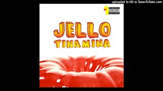 Tina Mina - Jello (Danny Diggz Remix) (Funkymix by DJ Rix)