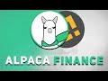 ЗА ЭТИМ ПРОЕКТОМ СТОИТ БИНАНС? ALPACA FINANCE