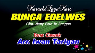 Karaoke Lagu Karo Bunga Edelwes Tone Cewek