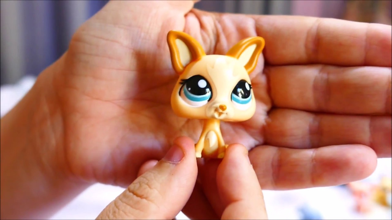 Littlest Pet Shop Auction Win Part Two YouTube
