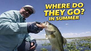 Where Bass REALLY Go in Summer | Bass Fishing