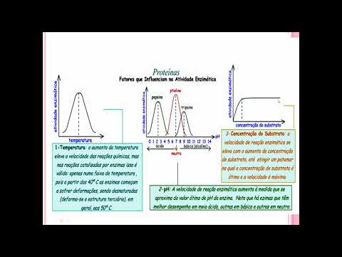 Vídeo: Como a atividade da enzima muda conforme a concentração de substrato diminui?