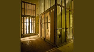 Beautiful Elevator Trips