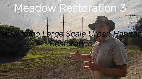 Urban Ecology Part 3: Large Scale Restoration Techniques, Management & Measuring Success