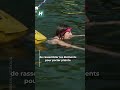 À Paris, deux sites de baignade dans la Seine fermés pour une raison particulière
