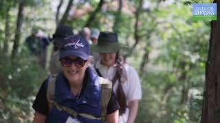 Sustainable Summits: Managing Public Access for Protection of Rare Plants | Buffalo Mountain