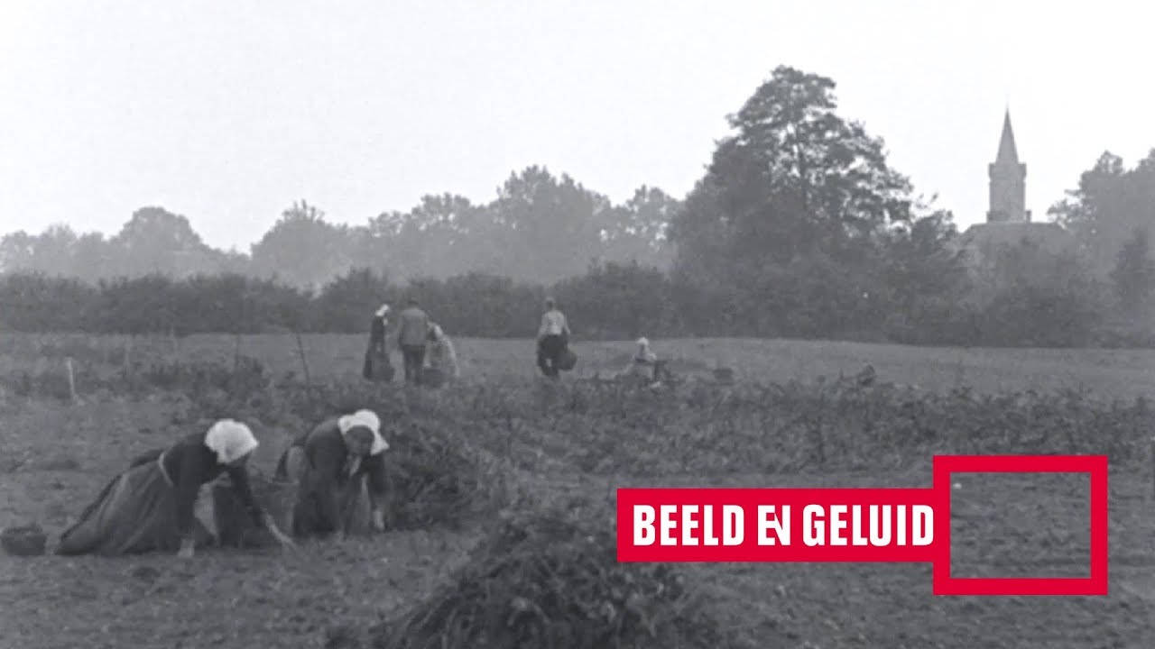 Beelden van het dorp Ruurlo (1921)