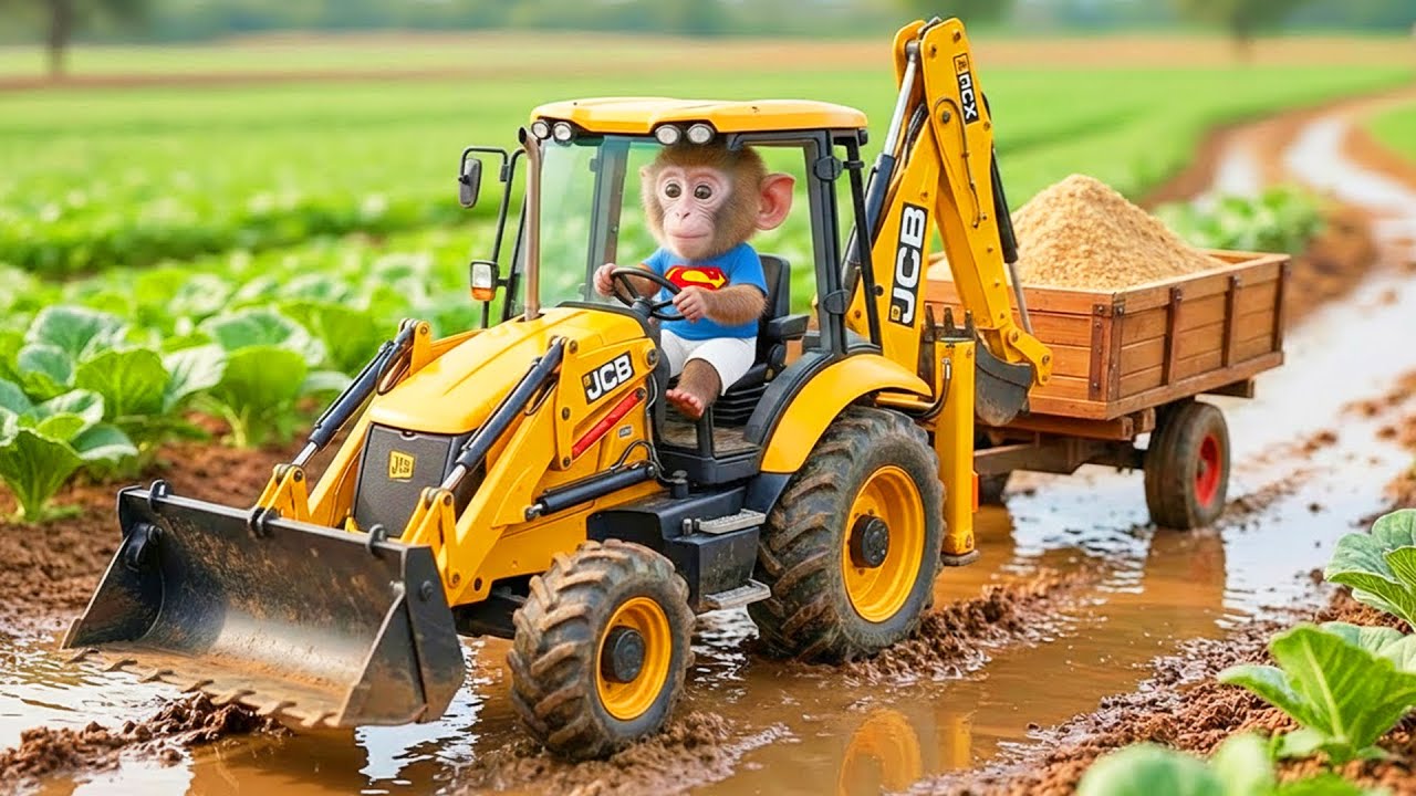 Monkey MiLo the JCB Tractor Excavator and the Unexpected Road Repair After the Big Rain MONKEY LIFE