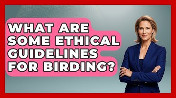 What Are Some Ethical Guidelines for Birding? | Bird Watching Diaries