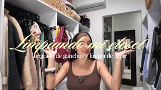 Limpieza Profunda En Mi Clóset