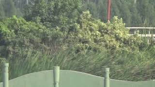 Clarissa Street Hero H. Rancho Fatima 16.05.25