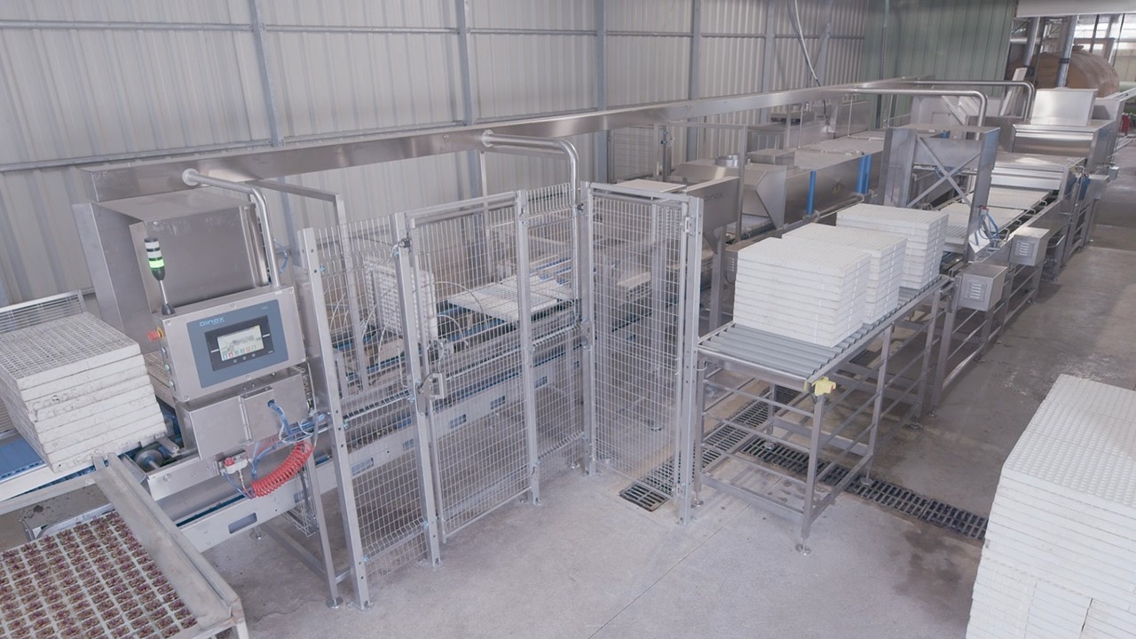 Dinox SE-6  - Línea lavado BANDEJAS DE SEMILLEROS