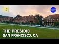 Before sunset in the presidio san francisco  4k california walking tour  walkmigo