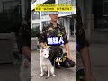 ＃警察犬　は　＃禁製品　の言葉を聞いたときの反応をテストし、「臨沂の　＃鶏炒め」を聞いたとき、犬はすぐに動いた。