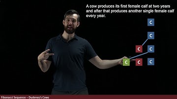 The Miraculous Fibonacci Sequence