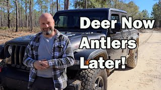 Deer Now Antlers Later