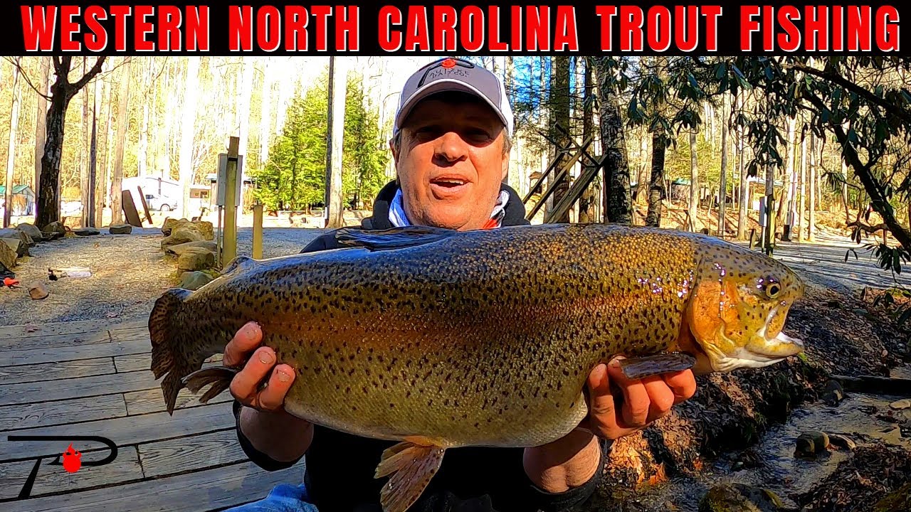 Western North Carolina Trout Fishing 