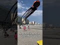#giant #kite #flies over #cherrygrove in #northmyrtlebeach each month