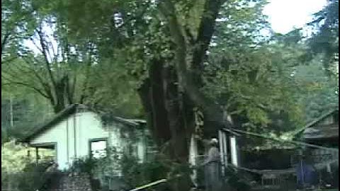 Good Rigging Control System Chapter 1, Distributed by Bishop Company