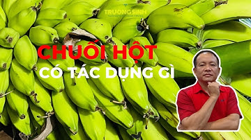 Cây Chuối Hột Có Tác Dụng Chữa Trị Bệnh Gì | Chuối Hột chữa sỏi thận