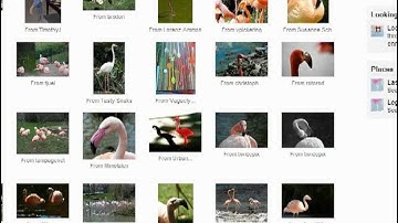Finding Creative Commons Images on Flickr