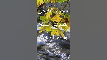 سورة الضحى بصوت الشيخ هيثم الدخين #قران_كريم #تلاوة_خاشعة #راحة_نفسية #متابعة_لايك #اكسبلور #ترند