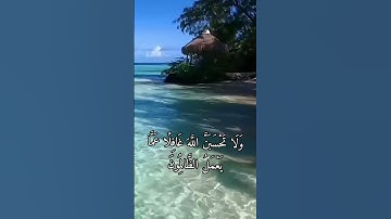 أية من القران الكريم #قرآن #قران_كريم #العراق #تجويد #السعودية #القرآن_الكريم #يارب #قران_كريم