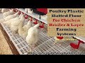 Poultry Plastic slatted flooring for broiler chicken farming