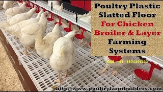 Poultry Plastic slatted flooring for broiler chicken farming