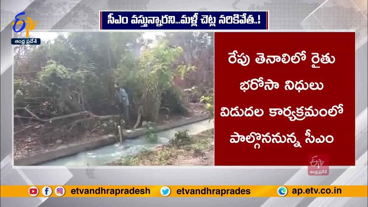 Trees Cut Down at Tenali In View of CM YS Jagan Tour సీఎం జగన్