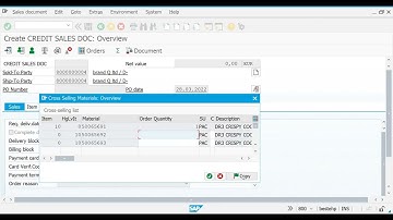 DELIVERY CONTROL INTRO AND STOCK POSTING ERRORS Part1