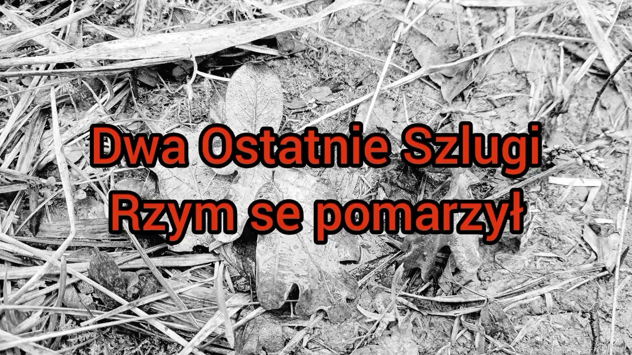 Dwa Ostatnie Szlugi - Rzym se pomarzył