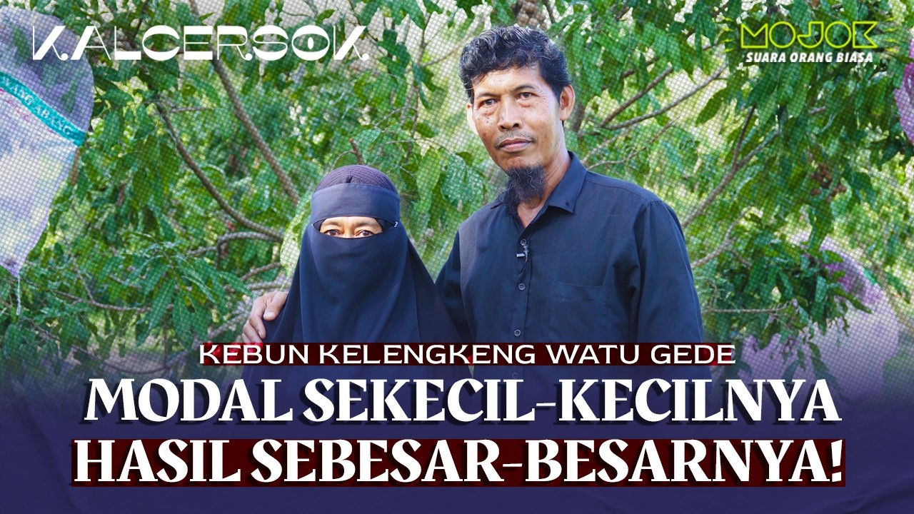 PENSIUN DARI JAKARTA FOKUS BERTANI KELENGKENG DI JOGJA, RAUP UNTUNG BESAR! | KALCERSOK