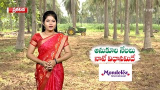 Cocoa Cultivation| విజయపథంలో కోకోసాగు | Good Profits in Cocoa Farming | 26th July 2023| ETV Annadata screenshot 5