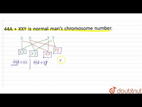 44A+XXY is normal man's chromosome number.